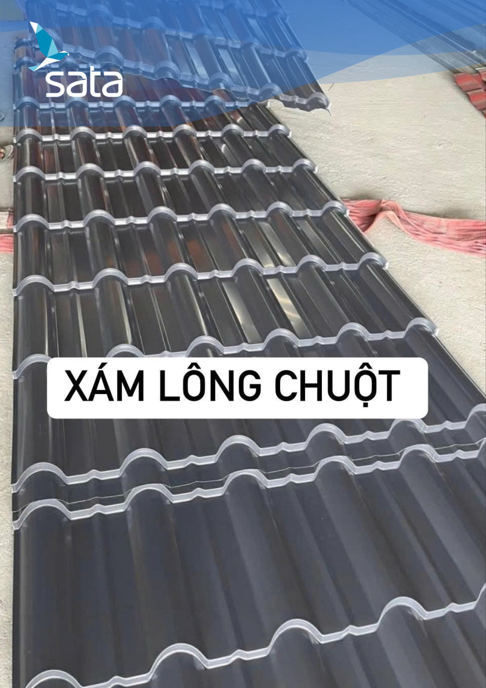 tôn màu xám lông chuột tôn màu xám lông chuột